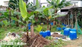 新北市土城區南天母建地(別墅)山坡地 新北市土城區南天母建地(別墅)山坡地
