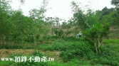 新北市三峽區三峽白雞休閒農地農地 新北市三峽區三峽白雞休閒農地農地